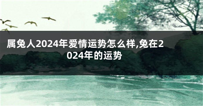 属兔人2024年爱情运势怎么样,兔在2024年的运势