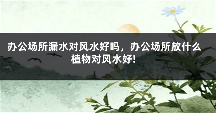 办公场所漏水对风水好吗，办公场所放什么植物对风水好!