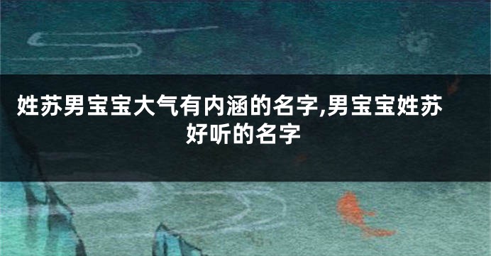 姓苏男宝宝大气有内涵的名字,男宝宝姓苏好听的名字