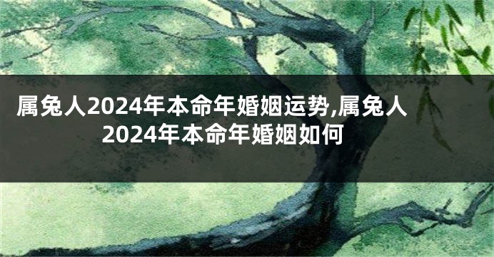 属兔人2024年本命年婚姻运势,属兔人2024年本命年婚姻如何