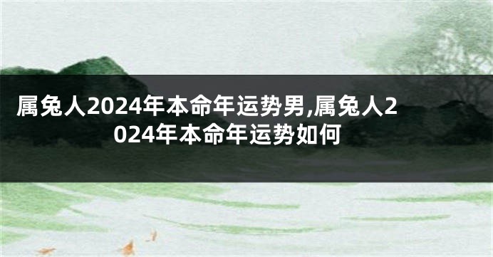 属兔人2024年本命年运势男,属兔人2024年本命年运势如何