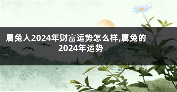 属兔人2024年财富运势怎么样,属兔的2024年运势