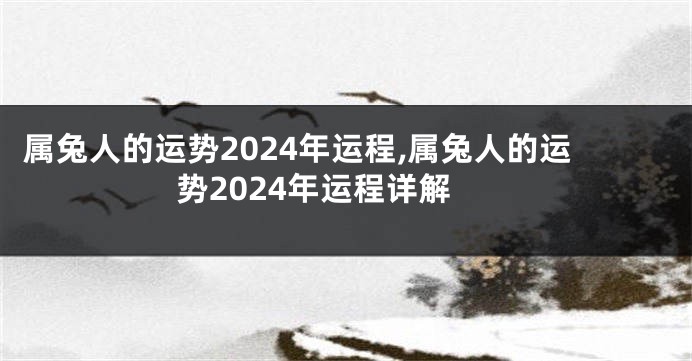 属兔人的运势2024年运程,属兔人的运势2024年运程详解