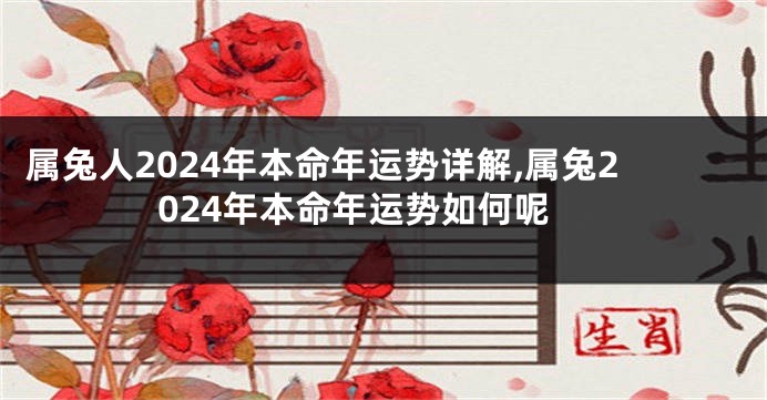 属兔人2024年本命年运势详解,属兔2024年本命年运势如何呢