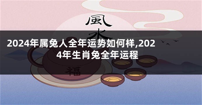 2024年属兔人全年运势如何样,2024年生肖兔全年运程