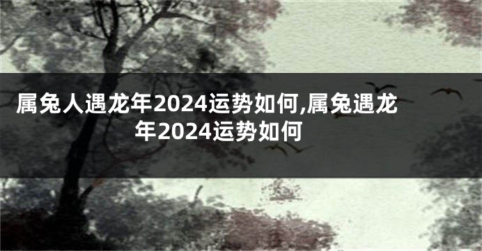 属兔人遇龙年2024运势如何,属兔遇龙年2024运势如何