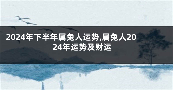 2024年下半年属兔人运势,属兔人2024年运势及财运