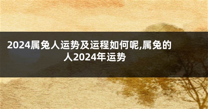 2024属兔人运势及运程如何呢,属兔的人2024年运势