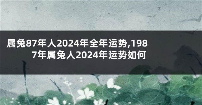 属兔87年人2024年全年运势,1987年属兔人2024年运势如何