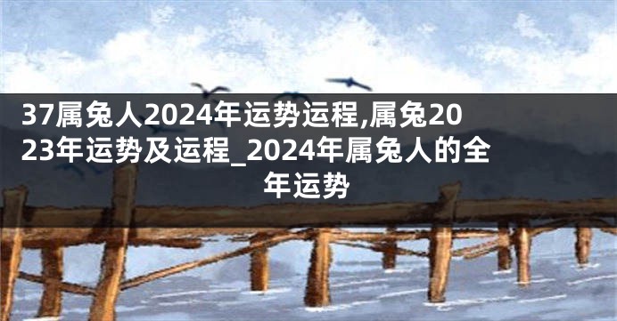 37属兔人2024年运势运程,属兔2023年运势及运程_2024年属兔人的全年运势