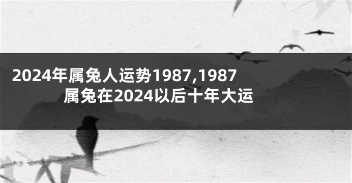 2024年属兔人运势1987,1987属兔在2024以后十年大运