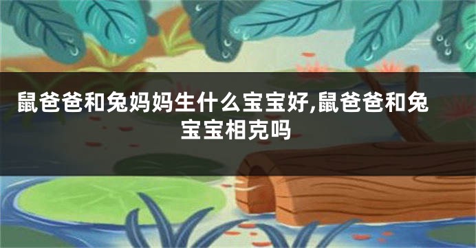 鼠爸爸和兔妈妈生什么宝宝好,鼠爸爸和兔宝宝相克吗