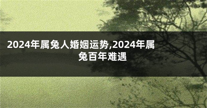 2024年属兔人婚姻运势,2024年属兔百年难遇