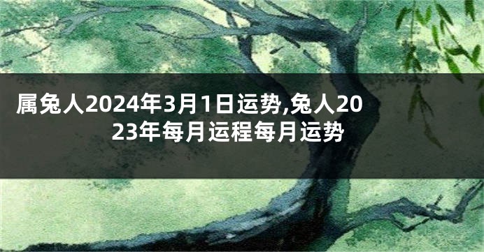 属兔人2024年3月1日运势,兔人2023年每月运程每月运势