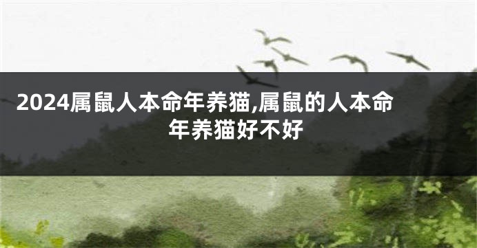 2024属鼠人本命年养猫,属鼠的人本命年养猫好不好