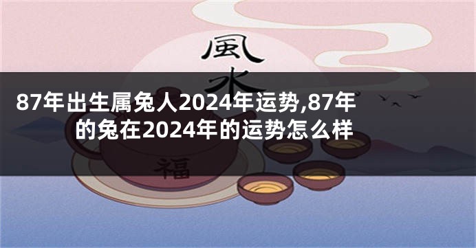 87年出生属兔人2024年运势,87年的兔在2024年的运势怎么样