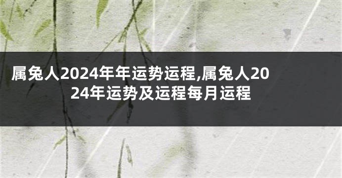 属兔人2024年年运势运程,属兔人2024年运势及运程每月运程