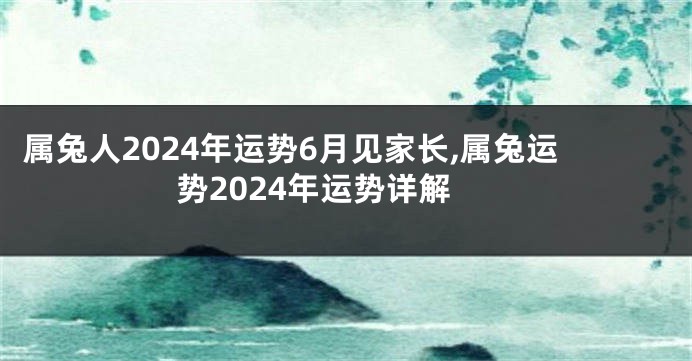 属兔人2024年运势6月见家长,属兔运势2024年运势详解