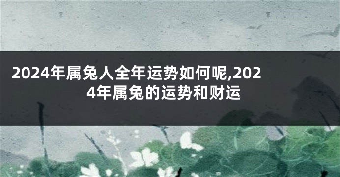 2024年属兔人全年运势如何呢,2024年属兔的运势和财运