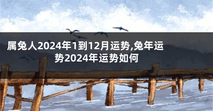 属兔人2024年1到12月运势,兔年运势2024年运势如何