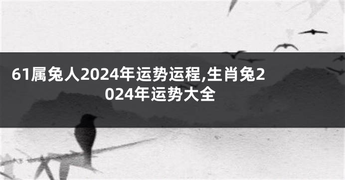 61属兔人2024年运势运程,生肖兔2024年运势大全