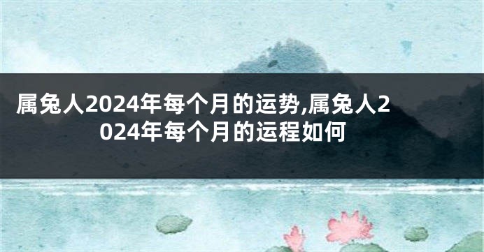 属兔人2024年每个月的运势,属兔人2024年每个月的运程如何