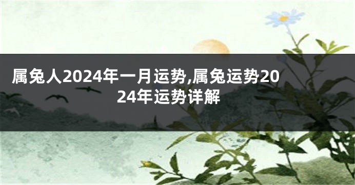 属兔人2024年一月运势,属兔运势2024年运势详解