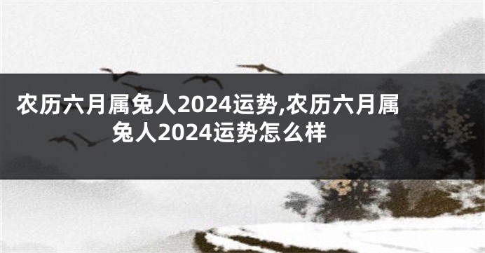 农历六月属兔人2024运势,农历六月属兔人2024运势怎么样