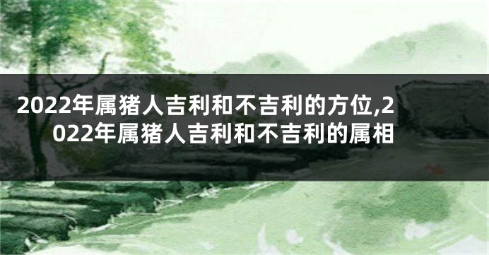 2022年属猪人吉利和不吉利的方位,2022年属猪人吉利和不吉利的属相