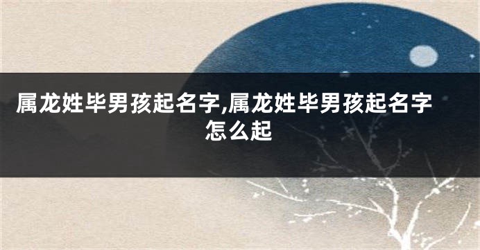 属龙姓毕男孩起名字,属龙姓毕男孩起名字怎么起