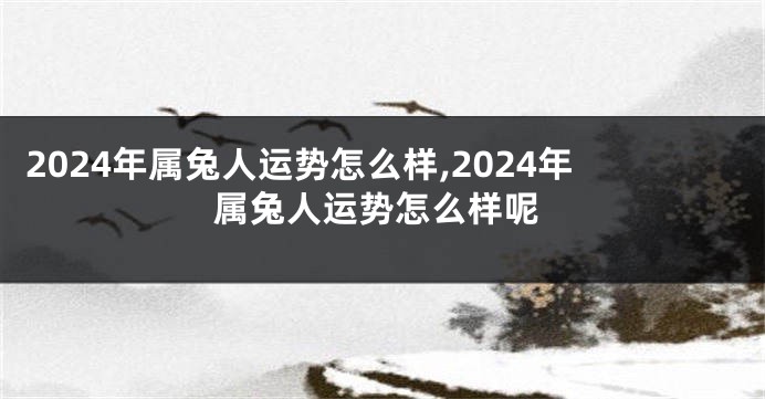 2024年属兔人运势怎么样,2024年属兔人运势怎么样呢