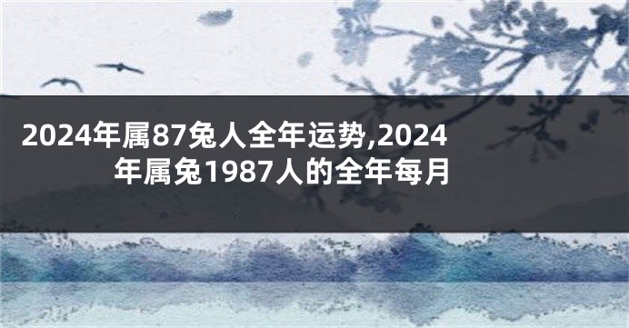 2024年属87兔人全年运势,2024年属兔1987人的全年每月