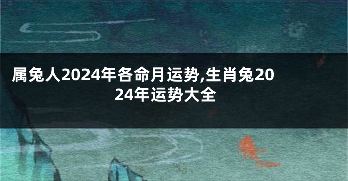 属兔人2024年各命月运势,生肖兔2024年运势大全