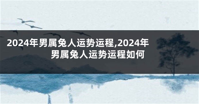 2024年男属兔人运势运程,2024年男属兔人运势运程如何