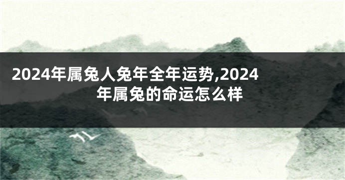 2024年属兔人兔年全年运势,2024年属兔的命运怎么样