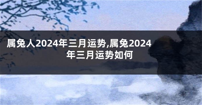 属兔人2024年三月运势,属兔2024年三月运势如何