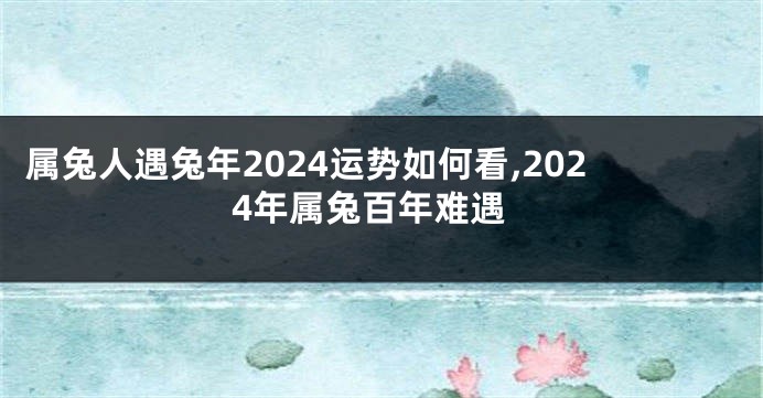 属兔人遇兔年2024运势如何看,2024年属兔百年难遇