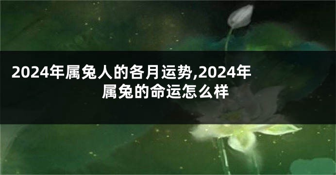 2024年属兔人的各月运势,2024年属兔的命运怎么样