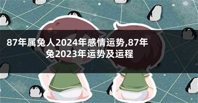 87年属兔人2024年感情运势,87年兔2023年运势及运程