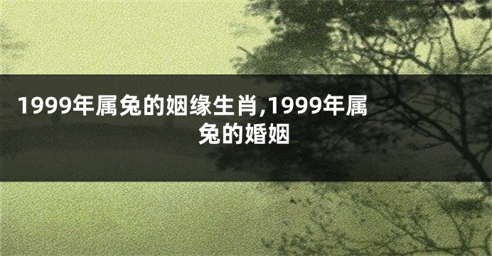 1999年属兔的姻缘生肖,1999年属兔的婚姻