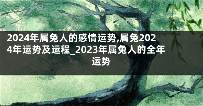 2024年属兔人的感情运势,属兔2024年运势及运程_2023年属兔人的全年运势