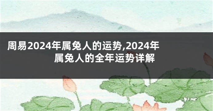 周易2024年属兔人的运势,2024年属兔人的全年运势详解