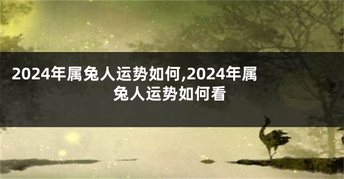 2024年属兔人运势如何,2024年属兔人运势如何看