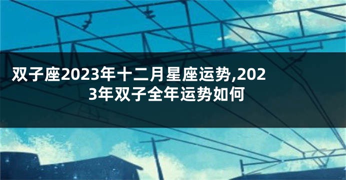 双子座2023年十二月星座运势,2023年双子全年运势如何