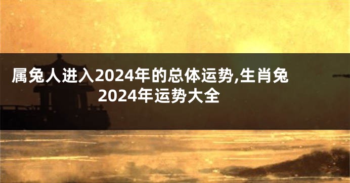 属兔人进入2024年的总体运势,生肖兔2024年运势大全