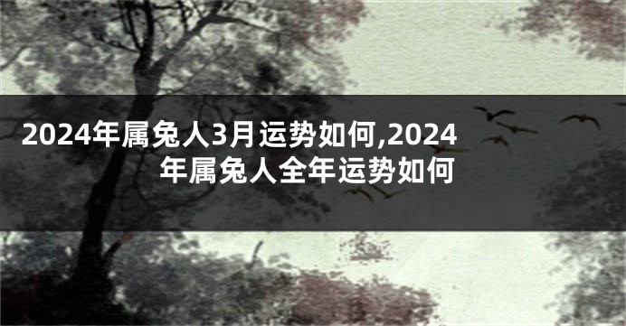 2024年属兔人3月运势如何,2024年属兔人全年运势如何