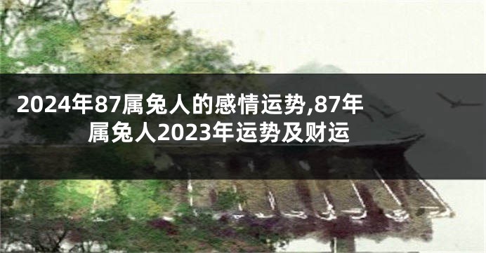 2024年87属兔人的感情运势,87年属兔人2023年运势及财运