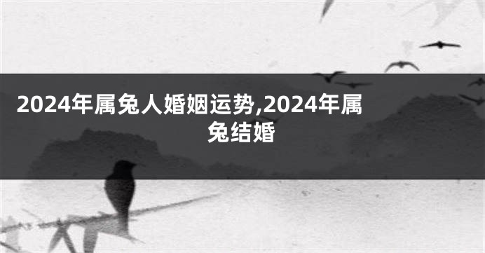 2024年属兔人婚姻运势,2024年属兔结婚