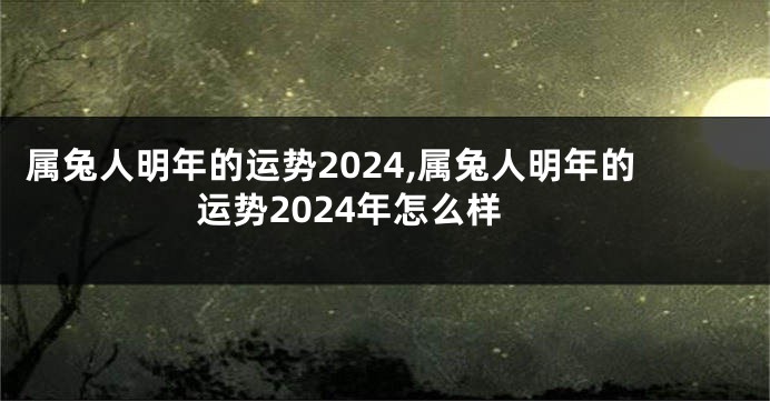 属兔人明年的运势2024,属兔人明年的运势2024年怎么样