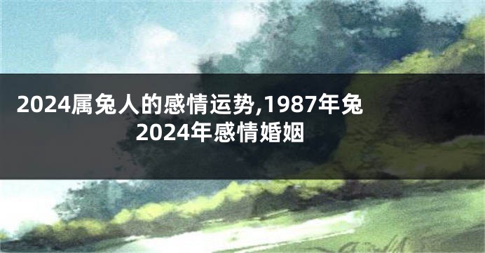 2024属兔人的感情运势,1987年兔2024年感情婚姻